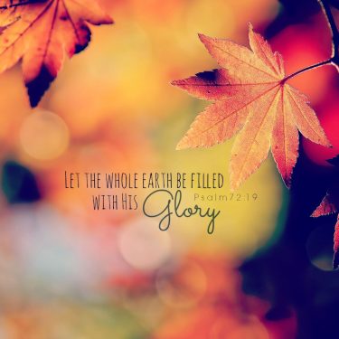 wp7528719-autumn-verse-wallpapers